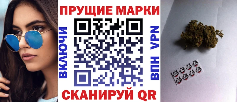 нарко площадка какой сайт  Владивосток  Наркотические марки 1,8мг  как найти наркотики 