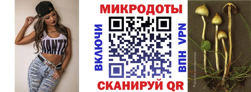 Галлюциногенные грибы Psilocybine cubensis  Владивосток 