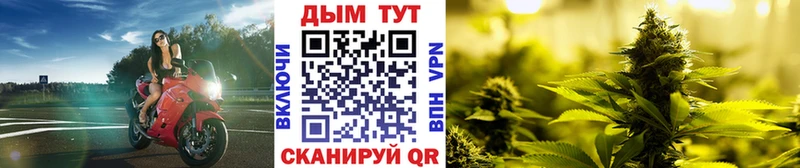 сколько стоит  Владивосток  Шишки марихуана индика 